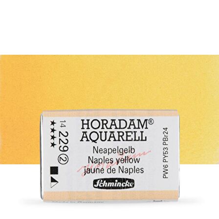 Schmincke Horadam Aquarell Tam Tablet Sulu Boya Naples Yellow 229 S.2