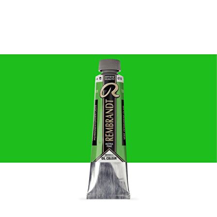 Talens Rembrandt Yağlı Boya 40ml Permanent Green Light 618 S.3