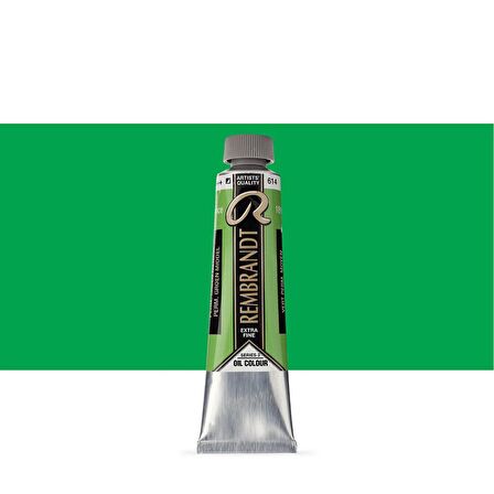 Talens Rembrandt Yağlı Boya 40ml Permanent Green Medium 614 S.3