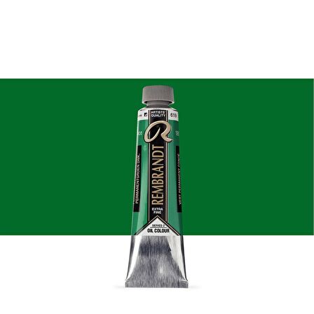 Talens Rembrandt Yağlı Boya 40ml Permanent Green Deep 619 S.3