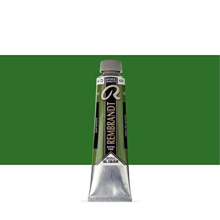 Talens Rembrandt Yağlı Boya 40ml Sap Green 623 S.2