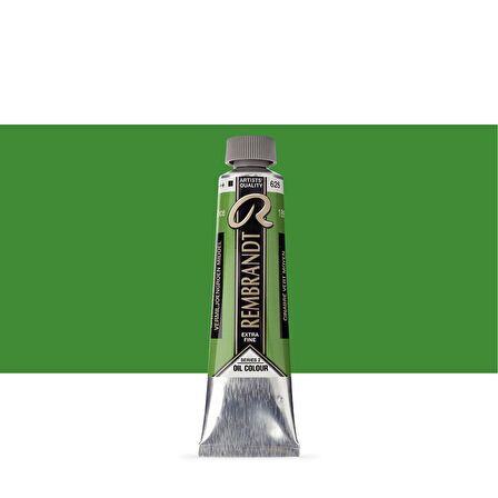 Talens Rembrandt Yağlı Boya 40ml Cinnabar Green Medium 625 S.2