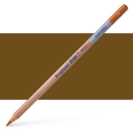 Bruynzeel Dessin Aquarell Sulu Boya Kalemi Burnt Ochre 79
