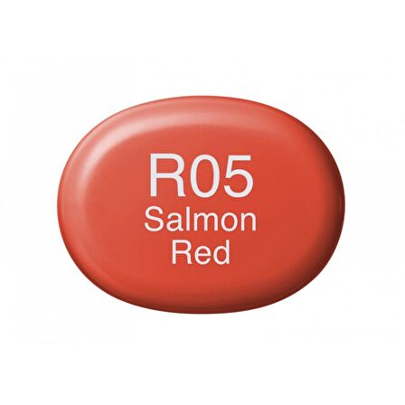 Copic Sketch Marker Kalemi R05