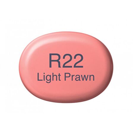 Copic Sketch Marker Kalemi R22