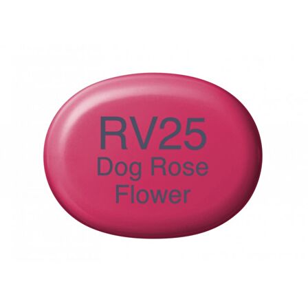 Copic Sketch Marker Kalemi RV25