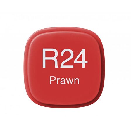 Copic Marker Kalemi R24 Prawn