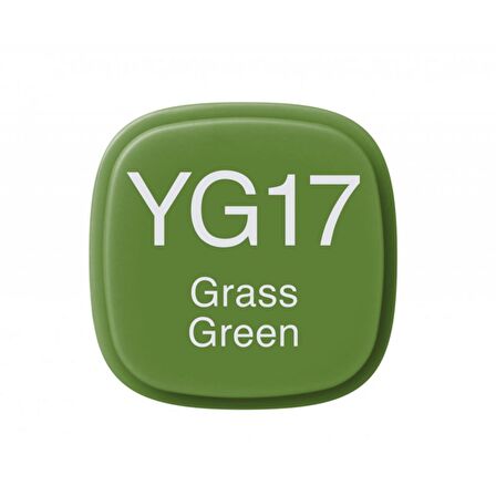 Copic Marker Kalemi YG17 Grass Green
