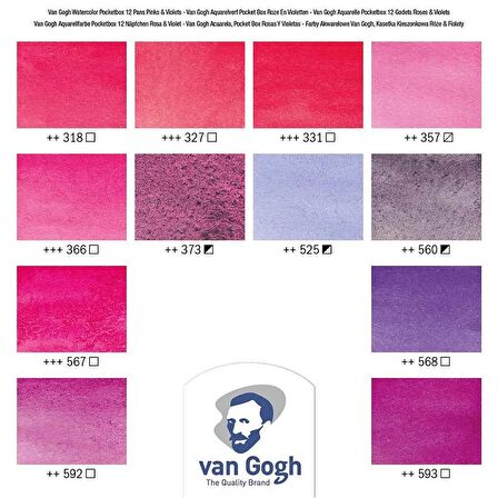 Van Gogh Sulu Boya 12'li Set Pembe Violet Renkler (Yarım Tablet)