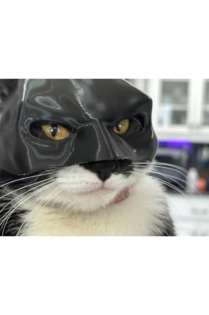 Yeni Estevia  Yarasa Kedi Batman Kedi Maskesi P717887 Company Kedi Şapka