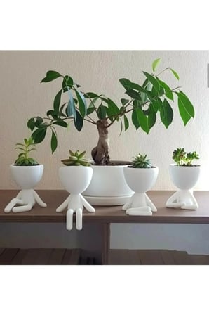 Insansı Saksı 4'lü Set Beyaz