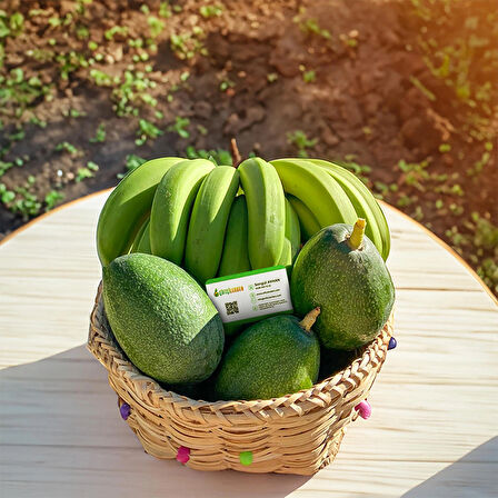 Avokado - Muz Sepeti 3Kg