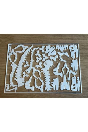 T-Rex 3D Yapboz Seti