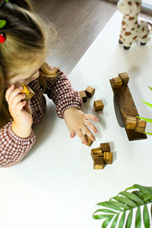 Montessori Ahşap Küp Denge Oyunu -Strateji, El Becerisi Geliştiren Oyuncak - Çocuk ve Aile Oyunu