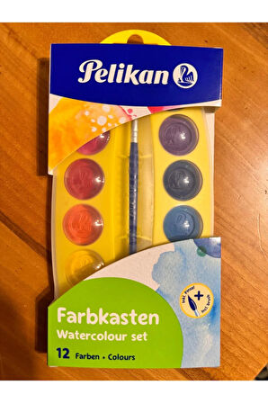 Yıkanabilir Master Suluboya Boya ve Fırça Plastik Seti, 12 Renk