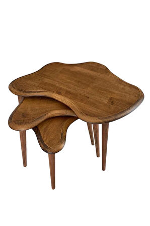 Fawdecor Asimetrik Masif Ahşap Zigon Sehpa Takımı 3'lü Set Modern Bohem Tarz Doğal Ağaç Yan Sehpa