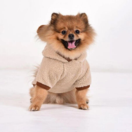 Gedyco Beige Premium Peluş Küçük Irk Köpek Sweatshirtü