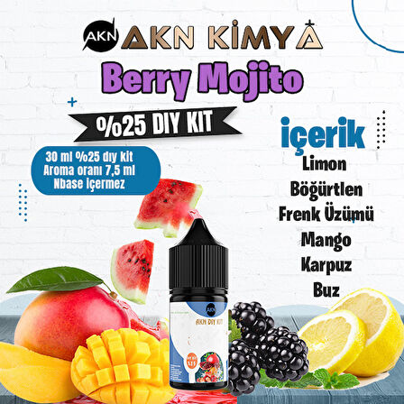 Berry Mojito Yoğun Dıy Kit Limon Böğürtlen Frenk Üzümü Buz Gıda Aroması %25 Oranda Aroma İçerir (Hazır Değildir )