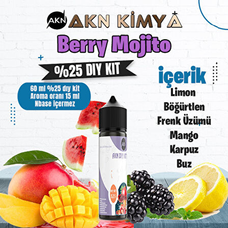 Berry Mojito Yoğun Dıy Kit Limon Böğürtlen Frenk Üzümü Buz Gıda Aroması %25 Oranda Aroma İçerir (Hazır Değildir )
