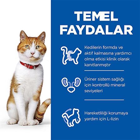 Hill's Sterilised Young Cat Duck Ördekli Kedi Maması 3 Kg