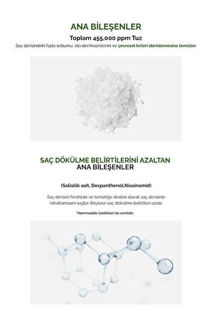 Arındırıcı ve Ferahlatıcı Saç Derisi Peelingi KUNDAL Sea Salt & Green Tea Scalp Scaler
