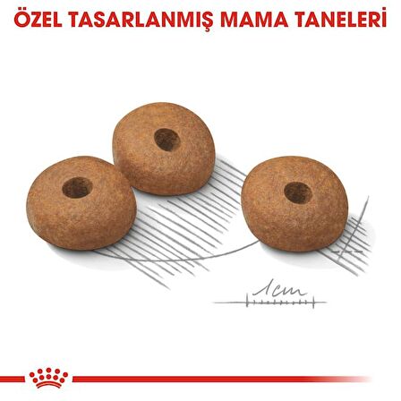 Royal Canin Mini Lightweight Kuru Köpek Maması 3kg