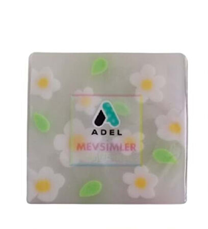 Mevsimler Silgi 1 adet