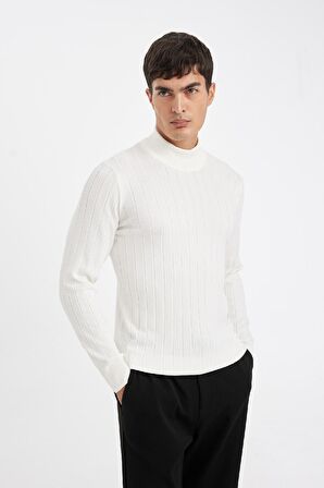 DeFacto Standart Fit Normal Kesim Yarım Balıkçı Yaka Jakarlı Triko Kazak D2943AX24AUER139