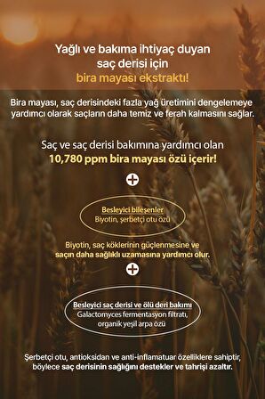 Saç Dökülmelerine Karşı Şampuan KUNDAL Hair Loss Relief Shampoo Real Beer Yeast 500 ml (Herb Mint)