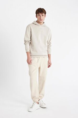 DeFacto Regular Fit Kapüşonlu Baskılı Sweatshirt C6131AX24AUBG766