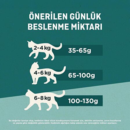 Purina One Sığır Etli 800 gr Yetişkin Kedi Maması