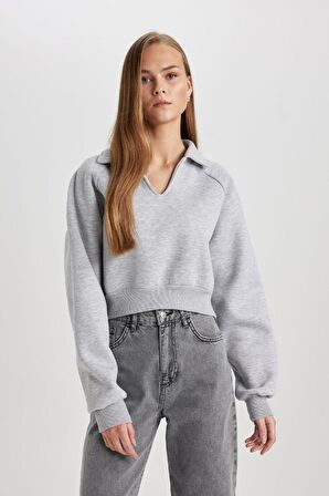 DeFacto Regular Fit Polo Yaka Basic Düz Kalın Sweatshirt C4583AX24SMGR256