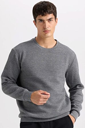 DeFacto Gri Regular Fit Bisiklet Yaka Jakarlı Sweatshirt D5392AX24AUGR371