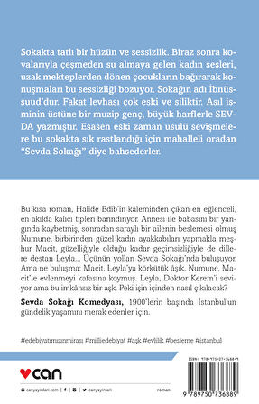 Sevda Sokağı Komedyası