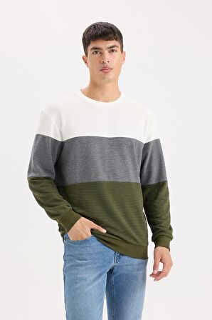 DeFacto Regular Fit Bisiklet Yaka Renk Bloklu Jakarlı Sweatshirt D5393AX24AUGN351