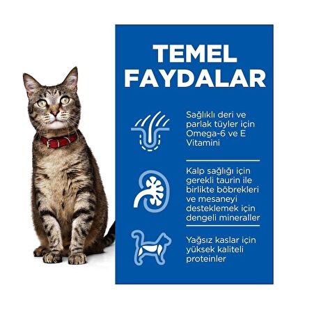 Hills Adult Tavuklu Yetişkin Kedi Maması 3 Kg