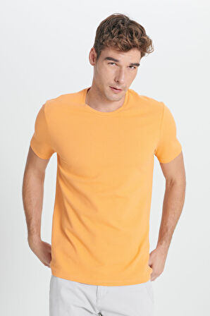 Erkek Kavun Icı Slim Fit Dar Kesim Bisiklet Yaka Kısa Kollu Yumuşak Tuşeli Basic Tişört
