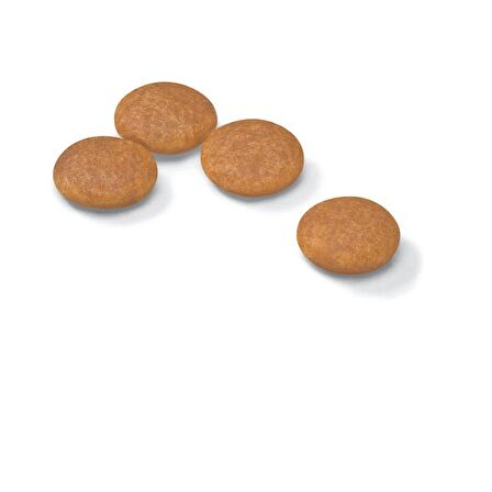 Royal Canin Mini Dermacomfort Kuru Köpek Maması 3kg