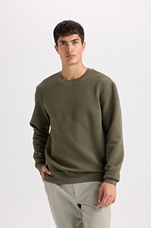 DeFacto Regular Fit Bisiklet Yaka Jakarlı Sweatshirt D5392AX24AUKH261