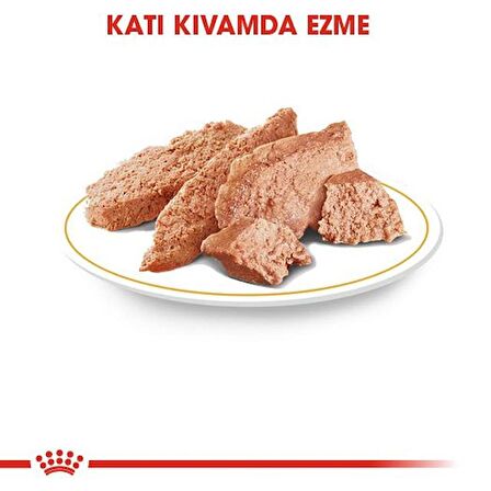 Royal Canin Yorkshire Terrier Yaş Köpek Maması 85g