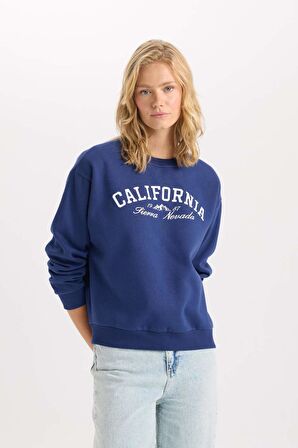 DeFacto Relax Fit Bisiklet Yaka Baskılı Kalın Sweatshirt D6713AX24WNNV42