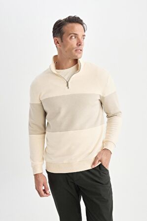 DeFacto Comfort Regular Fit Rahat Kalıp Dik Yaka Fermuarlı Çizgili Kalın Sweatshirt D2401AX24AUER42