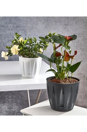 Bade Premium Çiçek ve Bitki Saksı 6lı Set