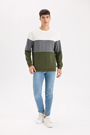 DeFacto Regular Fit Bisiklet Yaka Renk Bloklu Jakarlı Sweatshirt D5393AX24AUGN351