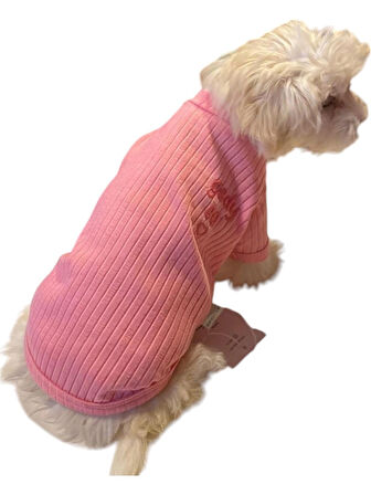 Gedyco Pink Basic Küçük Irk Köpek T-shirtü