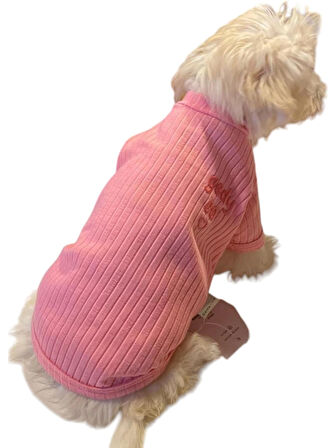 Gedyco Pink Basic Küçük Irk Köpek T-shirtü