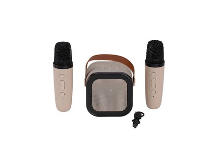 EMR-102 KUTULU 2Lİ KARAOKE MİKROFON