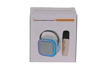 EMR-102 KUTULU 2Lİ KARAOKE MİKROFON