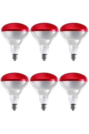 (6 Adet) 250W Kızılötesi Isıtıcılı Hayvan Isıtma ve Kuluçka Lambası (Kırmızı Işık) E27 (Kalın Duy)