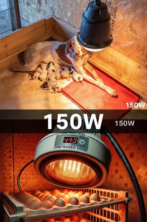 150W Kızılötesi (infrared) Isıtıcılı Hayvan Isıtma ve Kuluçka Lambası (Kırmızı Işık) E27 (Kalın Duy)